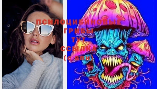 PSILOCYBIN Алексеевка