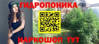 стафф Кулебаки
